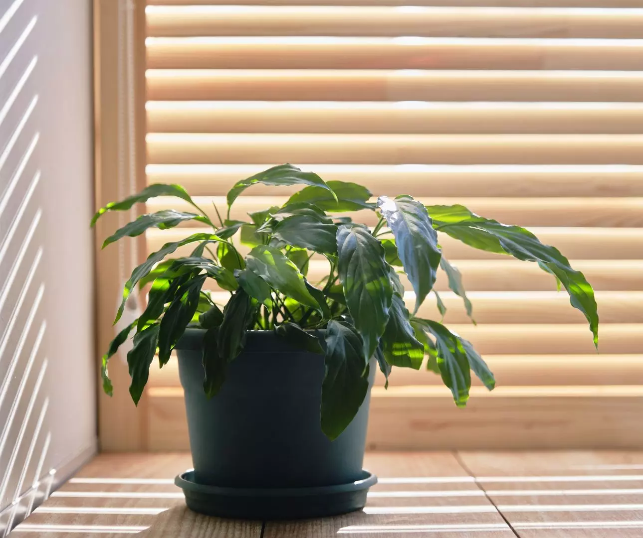 Are Blinds Warmer Than Curtains?