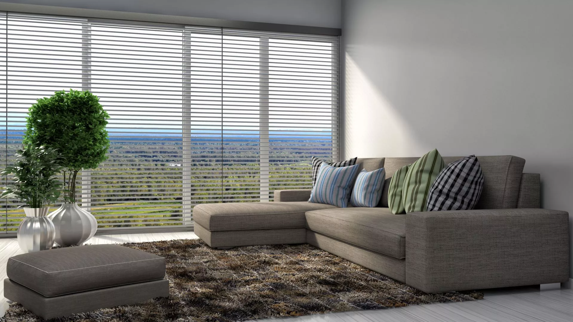 Best Living Room Blinds