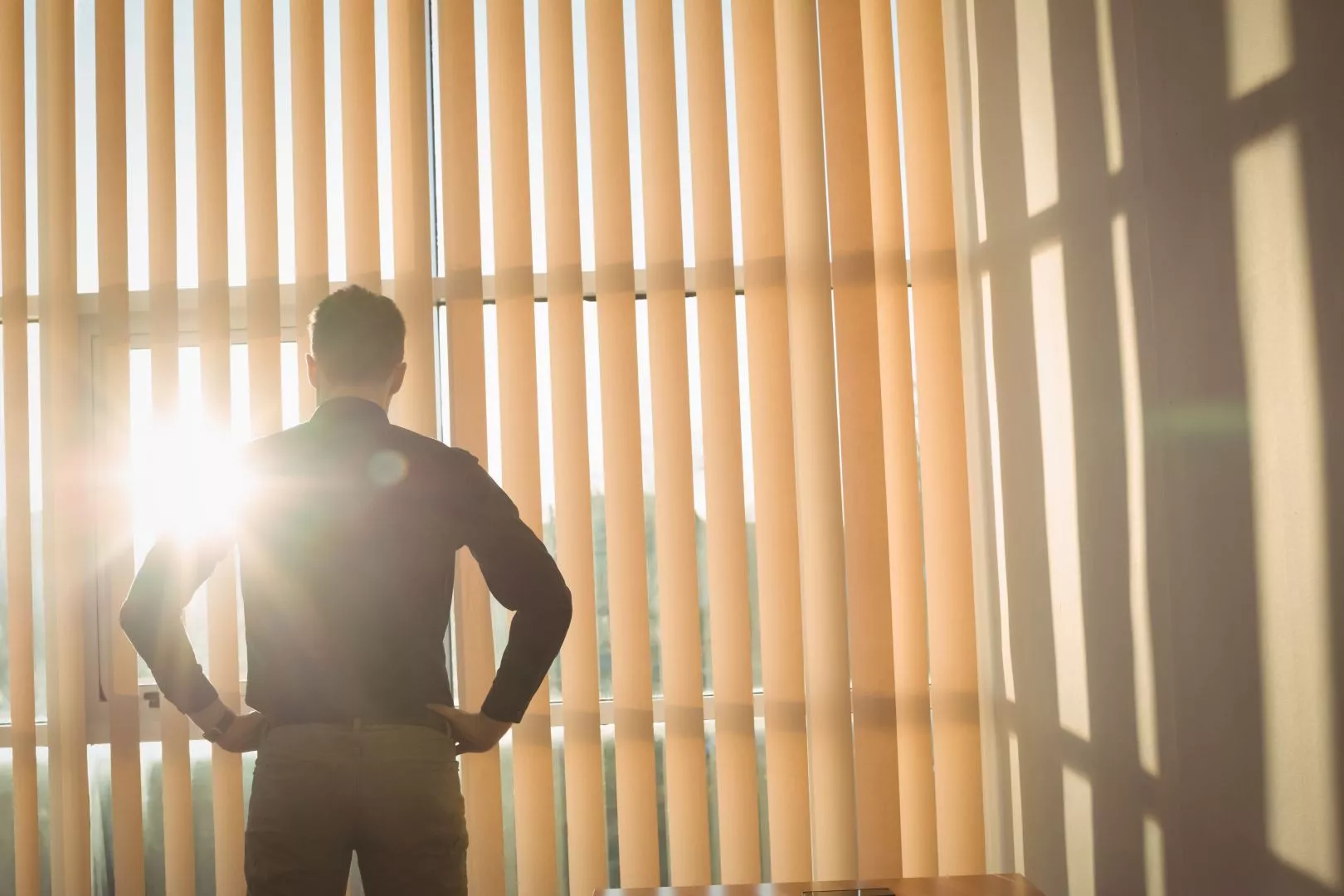 Vertical Blinds