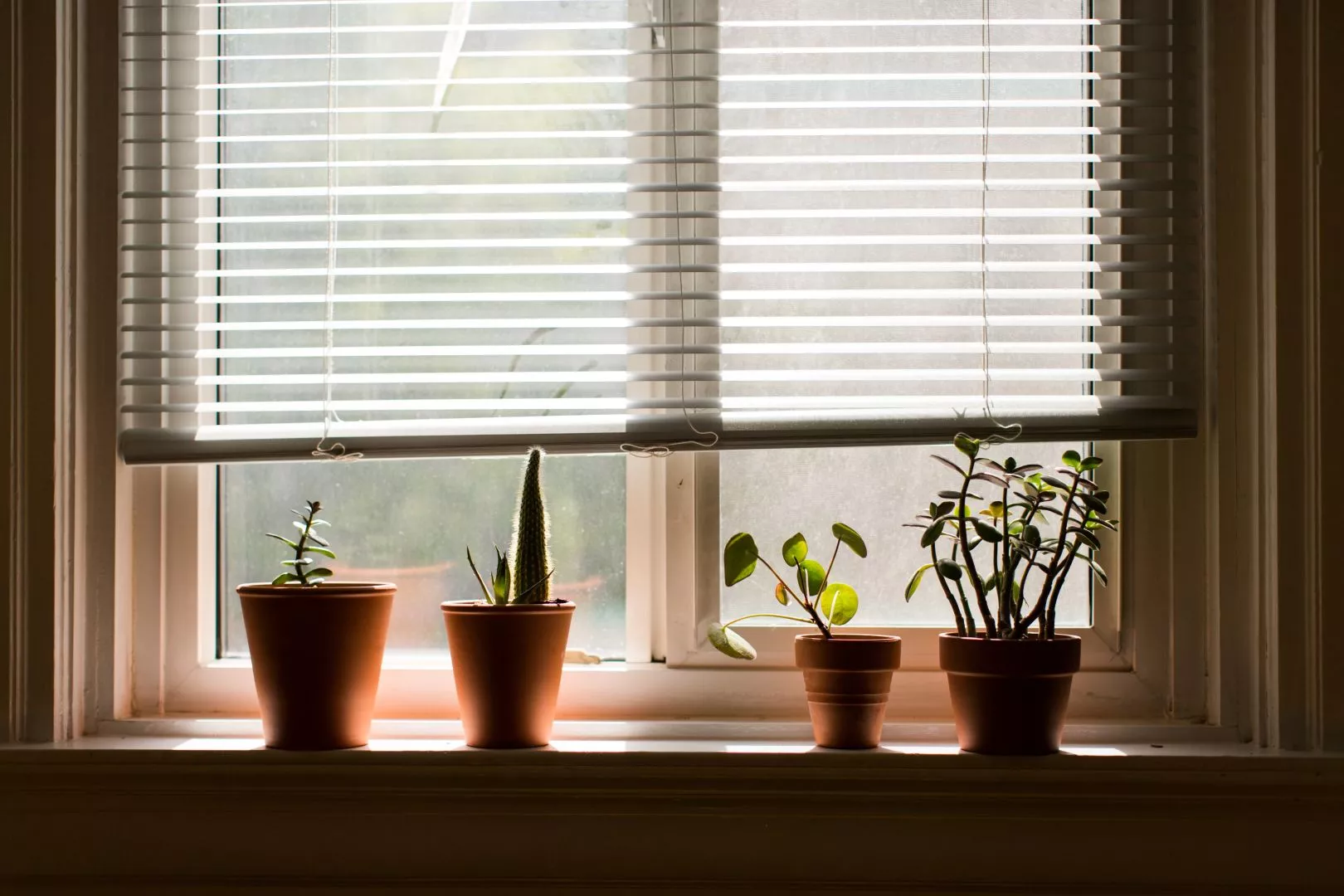 Reasons To Choose Venetian Blinds | Venetian Blind Installers Derby