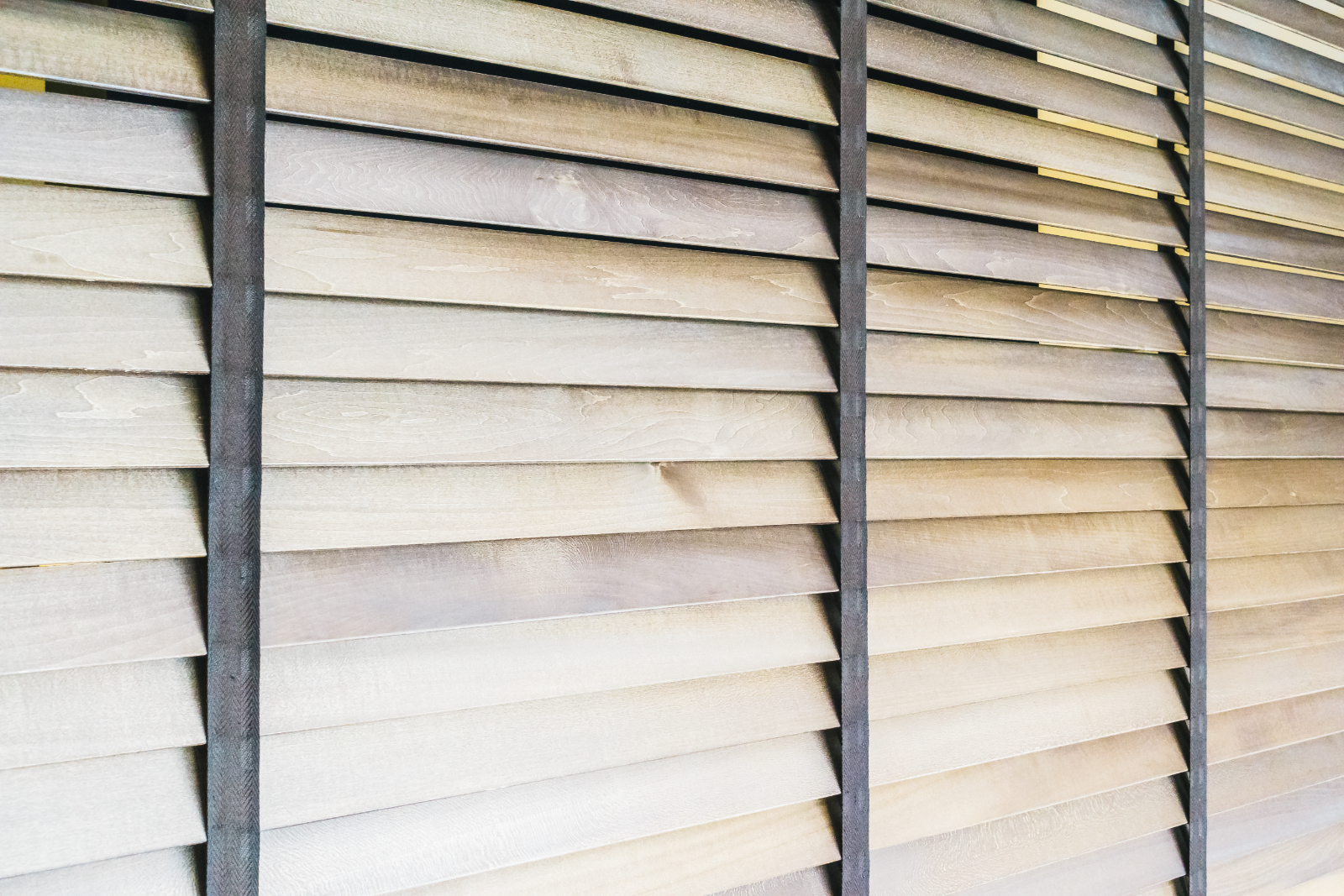 Reasons to Choose Venetian Blinds Image